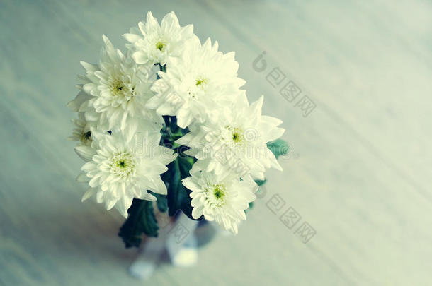 一束白菊花