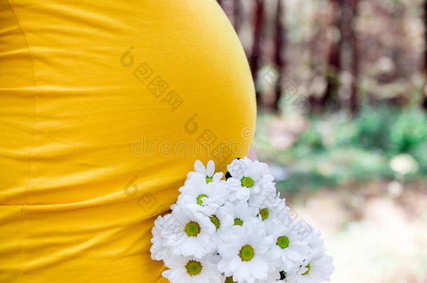 紧靠孕妇的肚子，穿着黄色的连衣裙，<strong>手捧花</strong>束，户外菊花，新的生活理念