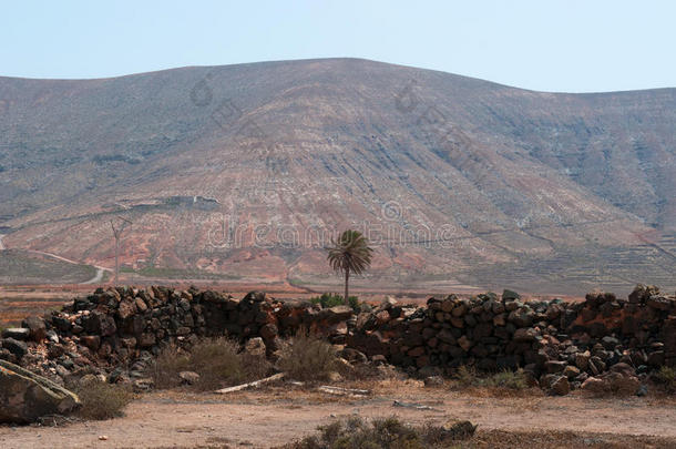 费特文图拉，加那利群岛，西班牙，<strong>火山</strong>，<strong>山脉</strong>，自然，景观，沙漠，野生，气候变化，石头，棕榈树