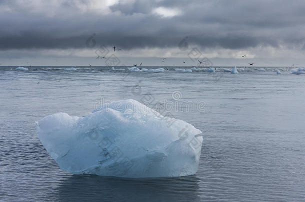 北极的艺术蓝色气候气候学