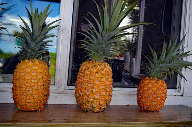 异国情调的新鲜的水果夏威夷语菠萝