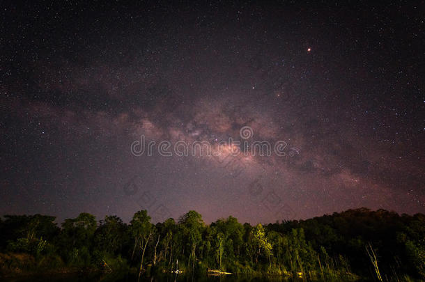 夜晚有天空的黑暗森林