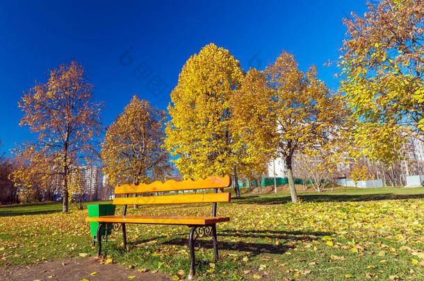秋天公园里的长凳有金色的叶子