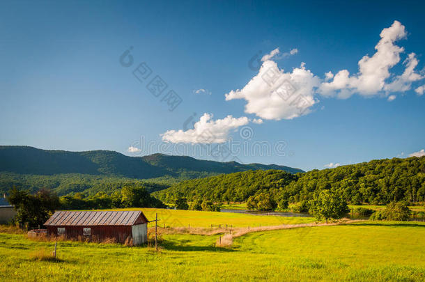 弗吉尼亚州Shenandoah<strong>山</strong>谷乡村<strong>远山</strong>的田野和景色。