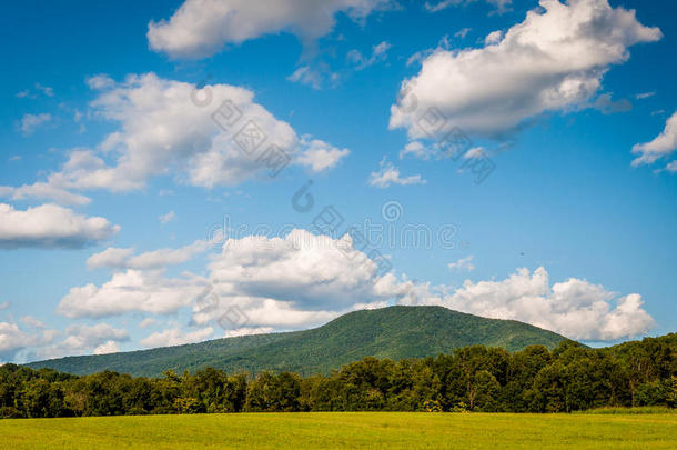 弗吉尼亚州Shenandoah山谷乡村远山的田野和景色。