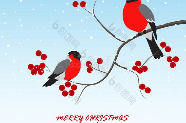 圣诞问候，鸟儿坐在树枝上