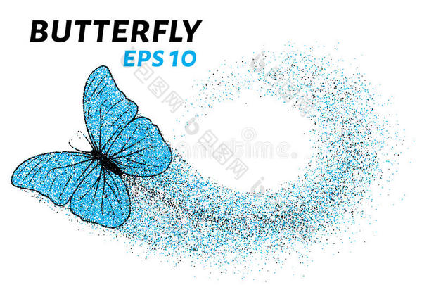 粒子的蝴蝶。 较小的圆圈是一只蝴蝶。 矢量插图