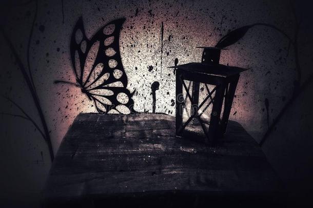 蝴蝶黑暗的有趣的灯笼图片