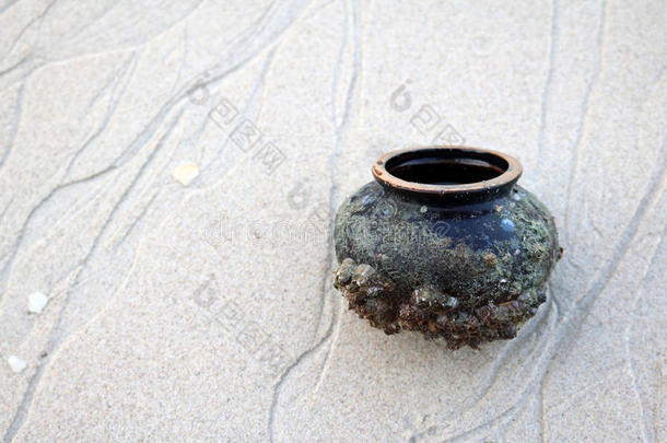 海滩上有海壳的古代陶器。