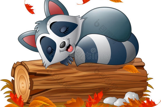 卡通浣熊在秋天的天气里睡觉