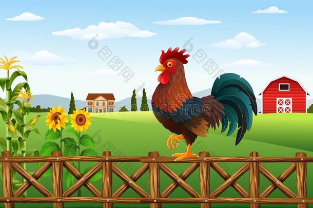 可爱的卡通公鸡在农场围栏里啼叫