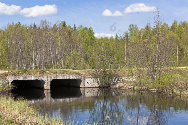 一座由钢筋混凝土通道组成的小河森林上的桥梁