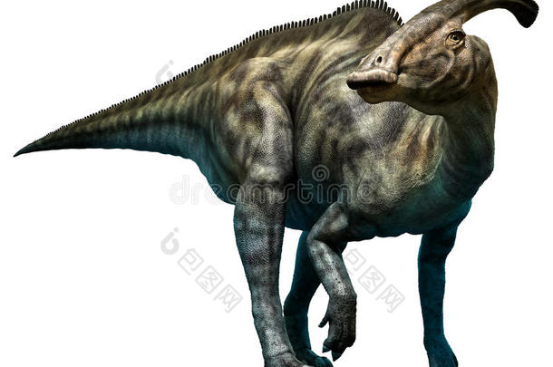 白垩纪恐龙灭绝的食草动物插图