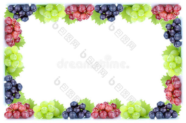 葡萄水果新鲜有机水果框架秋秋季合作空间公司