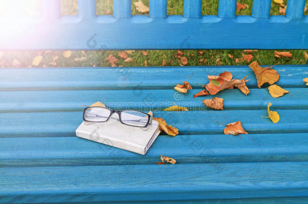 秋天的静物带着眼镜和笔记本，阳光明媚的热点