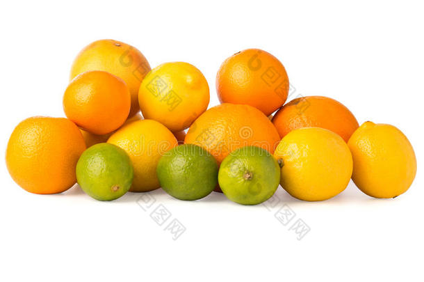 一系列柑橘类水果的裁剪