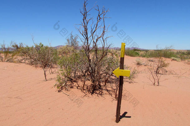 沙漠小径和方向箭头指针，标志