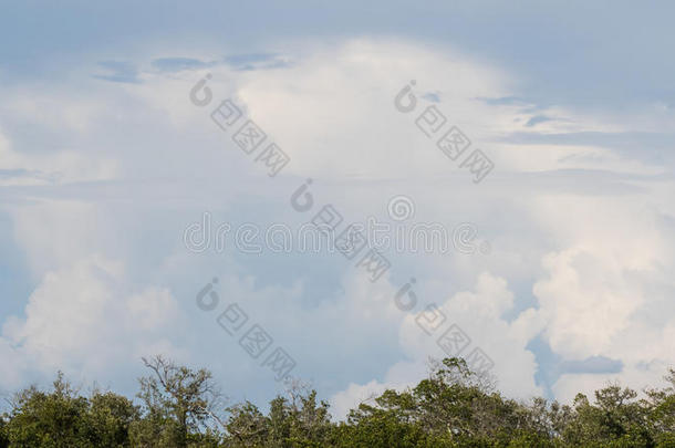 云，J.N。 达林国家野生<strong>动物保护</strong>区，圣尼贝尔岛，佛罗里达州