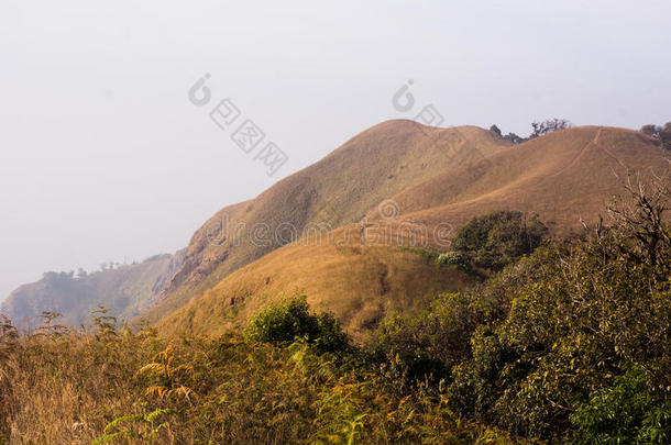 美丽的山景徒步<strong>旅行路线</strong>