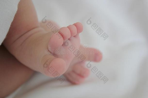 婴儿新生儿脚可爱可爱可爱的男孩婴儿