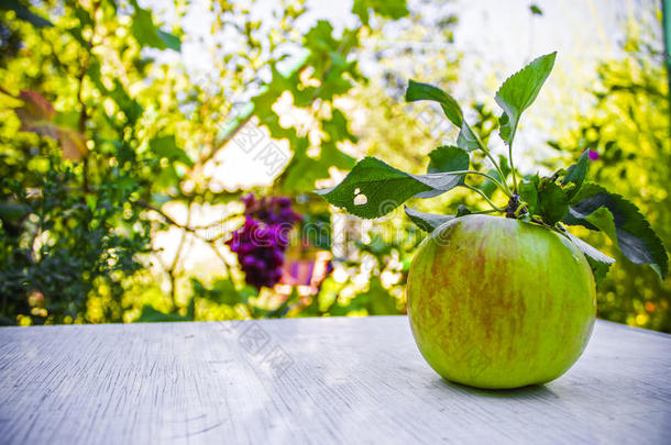园中桌上的苹果，丰收，自然背景