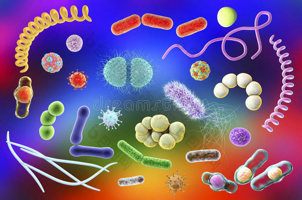 背景细菌生物学细胞关闭