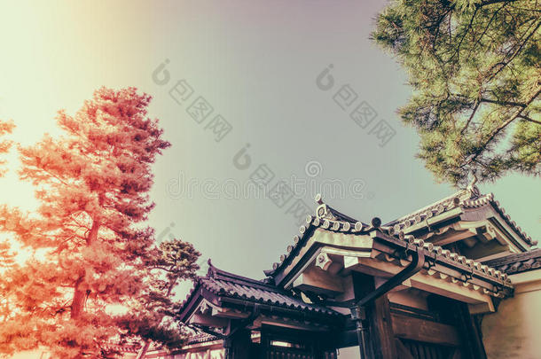 <strong>日本</strong>东京美丽的皇宫(过滤图像专业