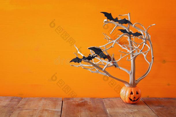 万圣节假期概念。 可爱的南瓜树和蝙蝠
