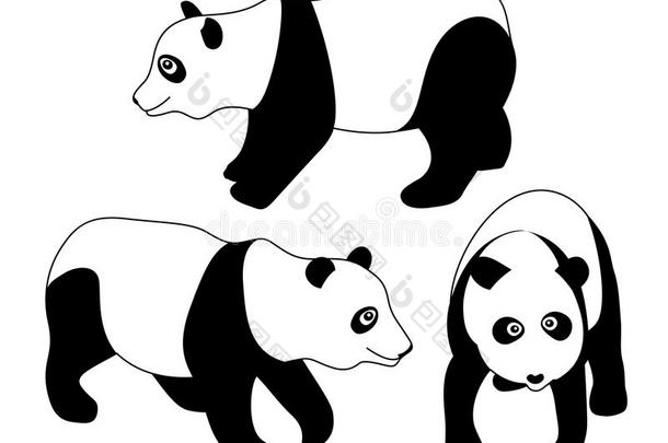 黑白熊猫