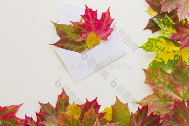五颜六色的秋叶框架和白色背景上的<strong>开</strong>放信封。 <strong>关门</strong>。