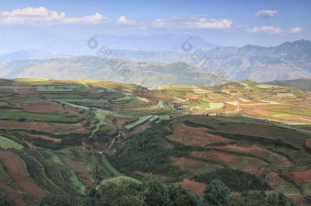 东川红色土地全景，中国云南省的地标之一