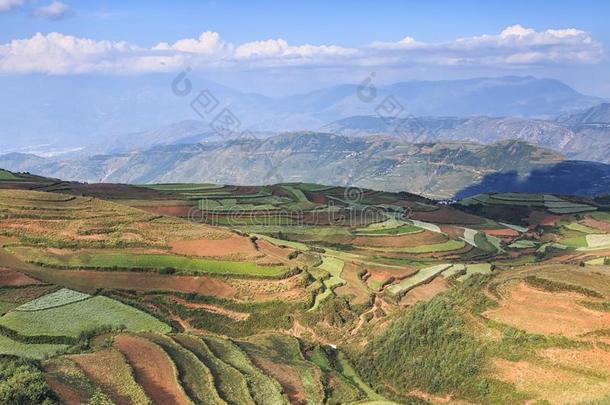 东川红色土地全景，中国云南省的地标之一