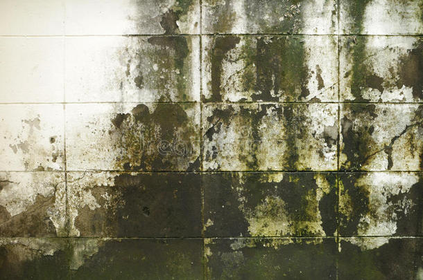 肮脏的苔藓砖墙