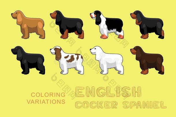 狗英语公鸡猎犬着色变化矢量插图