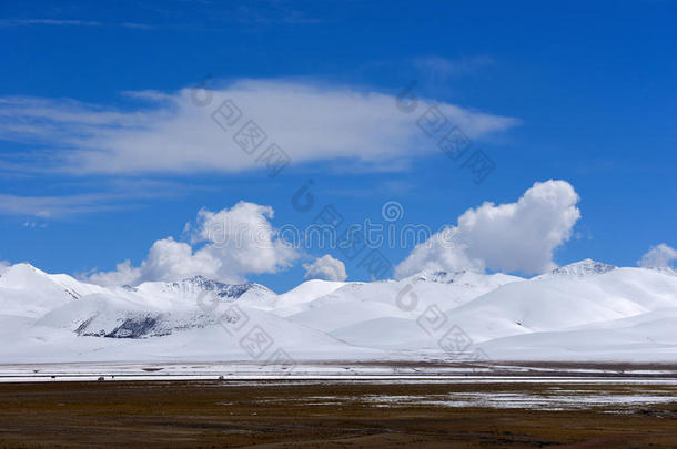 积极的阿尔卑斯山高山登山者海拔高度