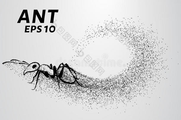 粒子的蚂蚁。 蚂蚁由<strong>小圆圈</strong>组成。 矢量插图