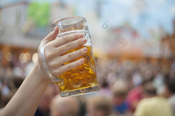 酒精巴伐利亚啤酒饮料生物钟