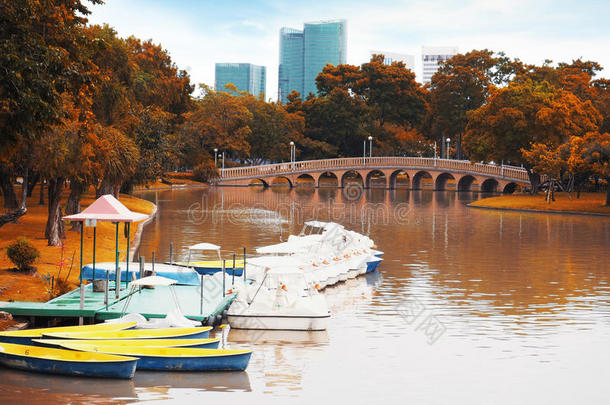 秋天的公共公园，有划船船