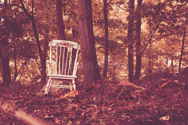 树林里的儿童摇椅
