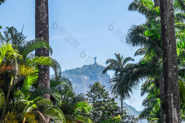 基督救赎-植物园里约热内卢，巴西