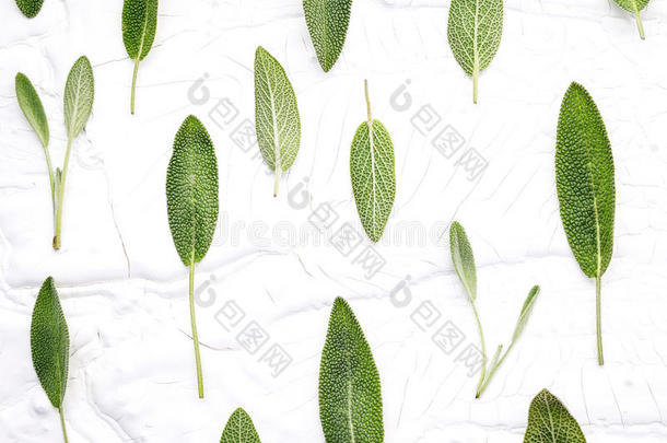 在白色的木制背景上特写新鲜的鼠尾草叶子。 交替