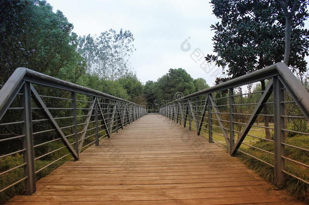 美丽的风景与绿色的方式和木桥，关闭家乡