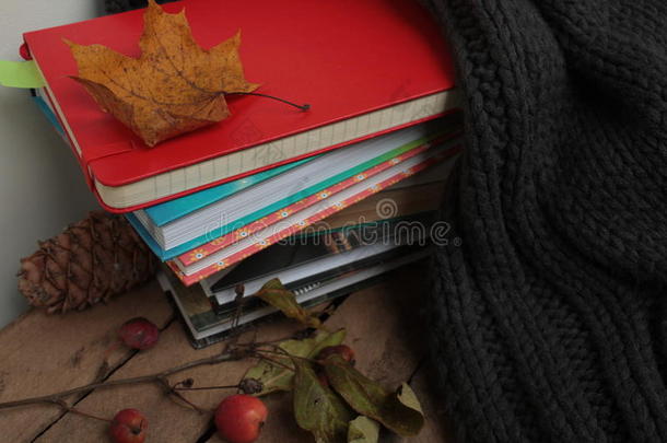 书，围巾，木桌上的秋天浆果