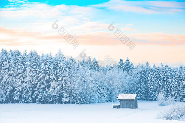 清晨冬天的乡村景观与白雪覆盖的森林