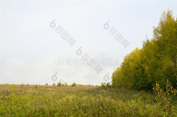 俄罗斯中部秋天的田野和森林-黄色、绿色、橙色墨水