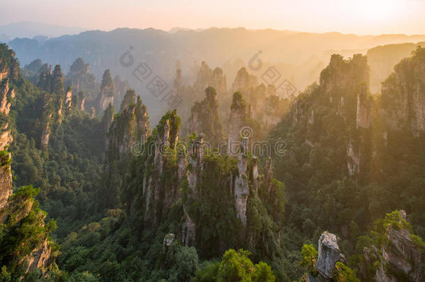 瓷器森林湖南山自然