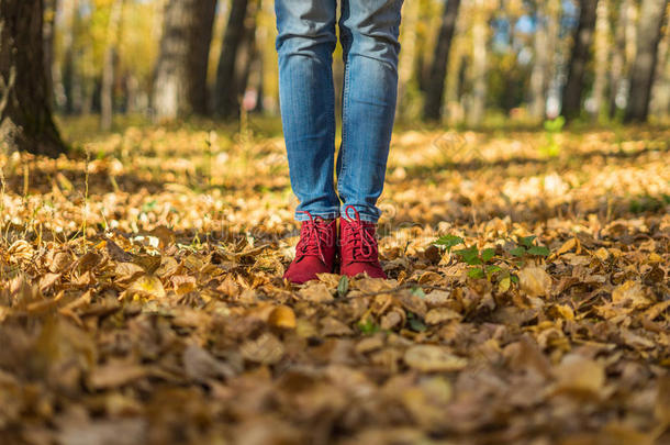 穿红鞋的女孩站在落叶上