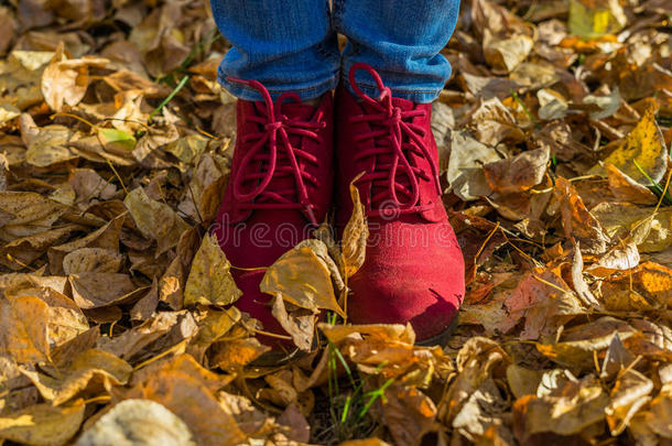 穿红鞋的女孩站在落叶上