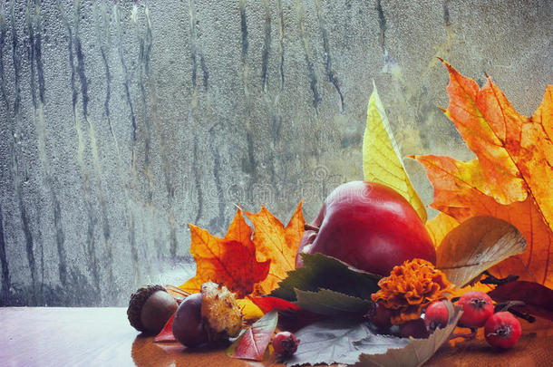 秋天的背景，下雨的窗户，五颜六色的叶子