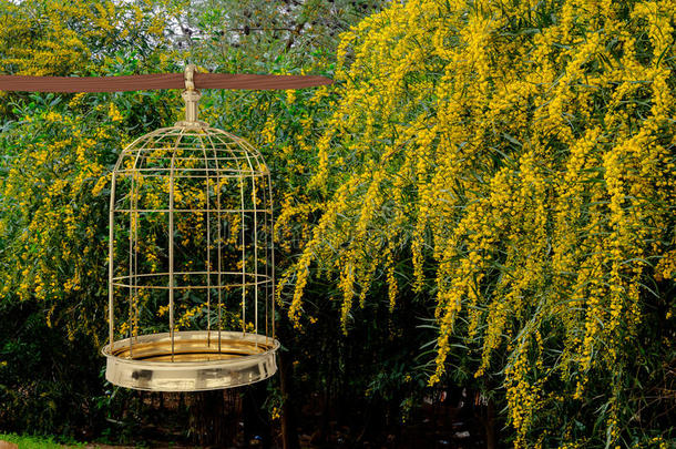 花园上<strong>金色鸟笼</strong>的三维渲染